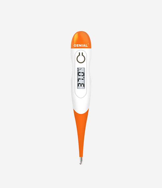 Digital Thermometer T17